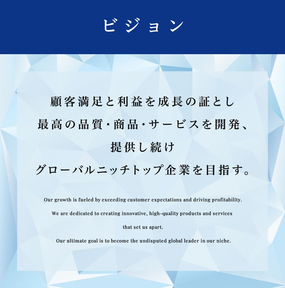 ビジョン